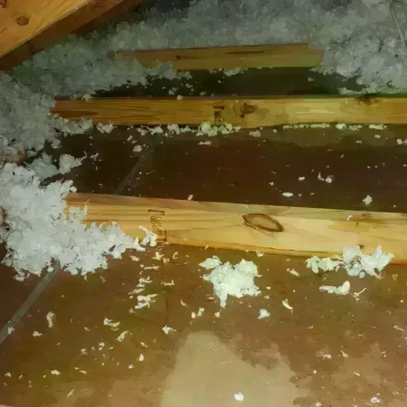 Attic Water Damage in Galesburg, MI