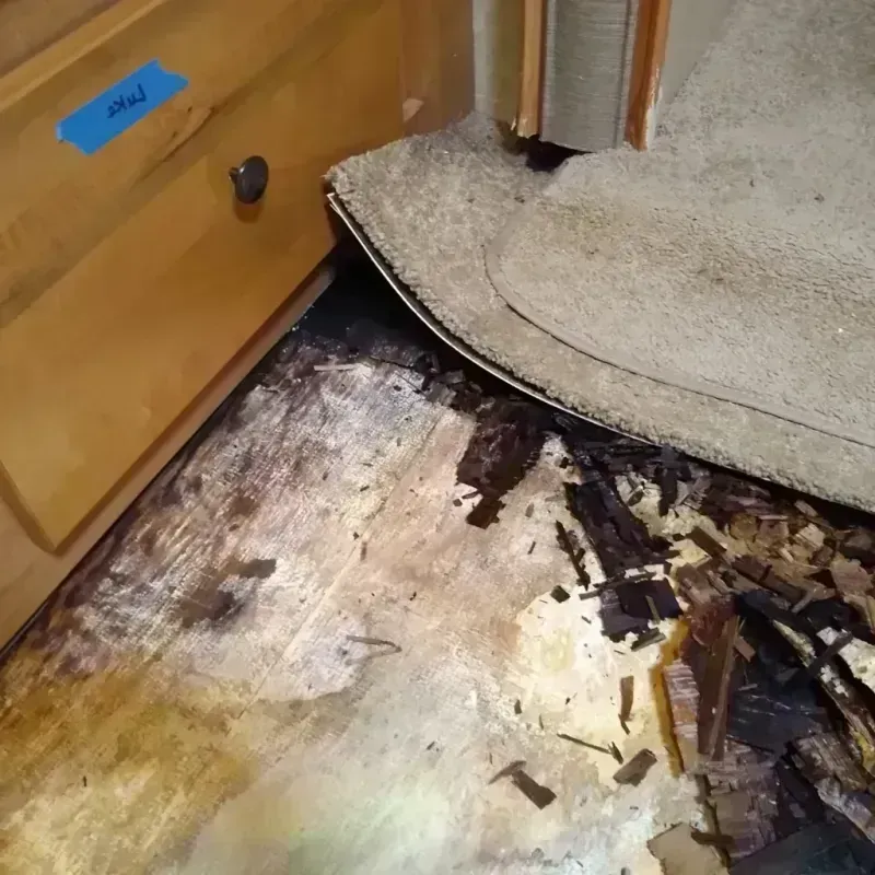 Best Wood Floor Water Damage Service in Galesburg, MI